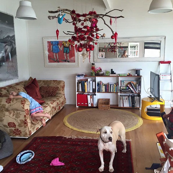 Забавни и креативни начини да ја заштитите новогодишната елка од вашите домашни миленици