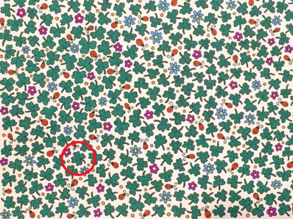 Тест за видот: Можете ли да го најдете предметот што не припаѓа на овие фотографии?