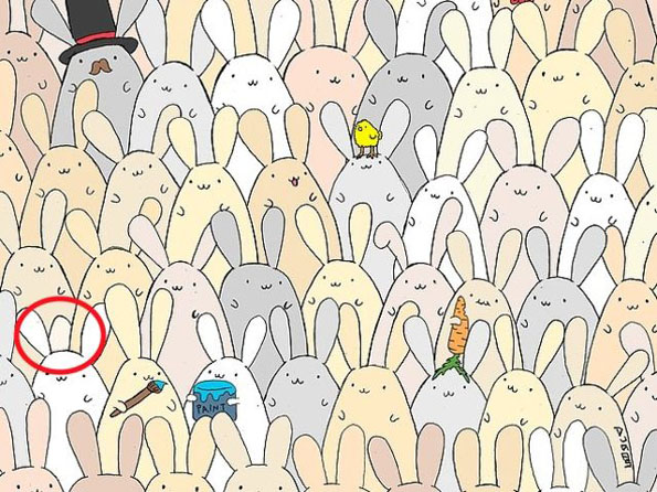 Тест за видот: Можете ли да го најдете предметот што не припаѓа на овие фотографии?