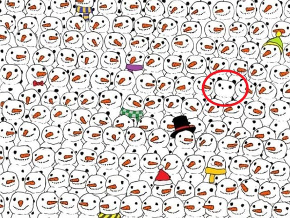 Тест за видот: Можете ли да го најдете предметот што не припаѓа на овие фотографии?