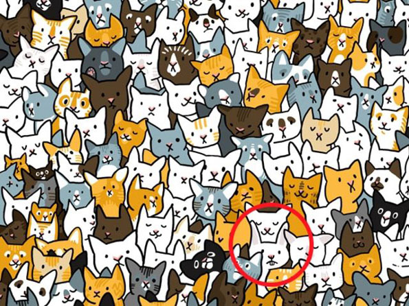 Тест за видот: Можете ли да го најдете предметот што не припаѓа на овие фотографии?