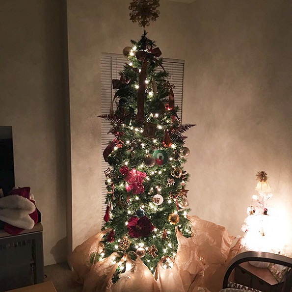 Забавни и креативни начини да ја заштитите новогодишната елка од вашите домашни миленици