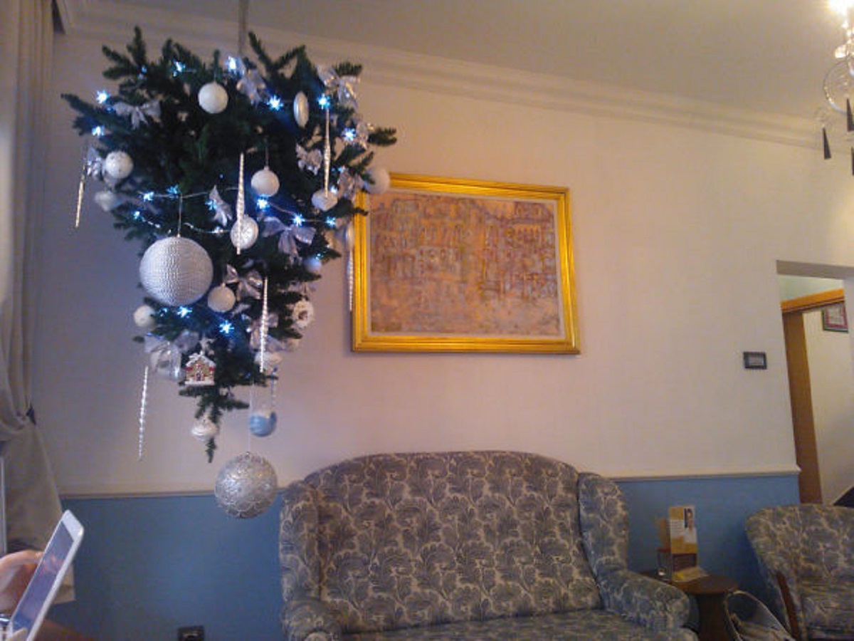 Забавни и креативни начини да ја заштитите новогодишната елка од вашите домашни миленици