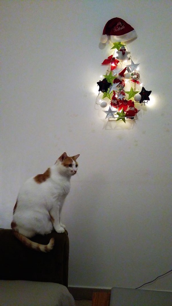 Забавни и креативни начини да ја заштитите новогодишната елка од вашите домашни миленици