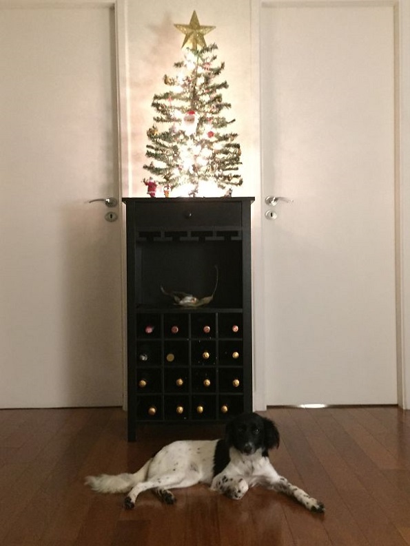 Забавни и креативни начини да ја заштитите новогодишната елка од вашите домашни миленици