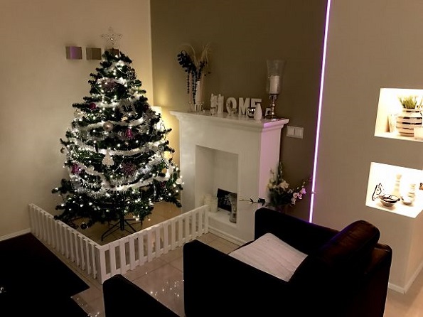 Забавни и креативни начини да ја заштитите новогодишната елка од вашите домашни миленици