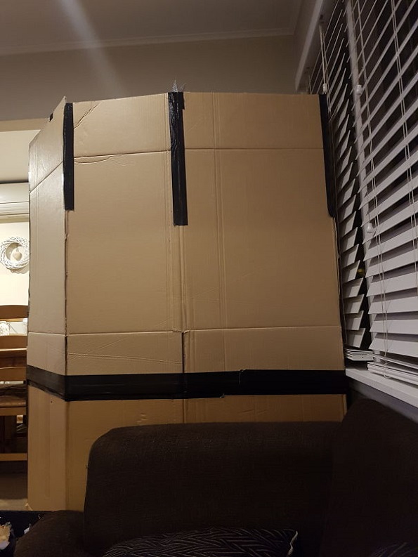 Забавни и креативни начини да ја заштитите новогодишната елка од вашите домашни миленици