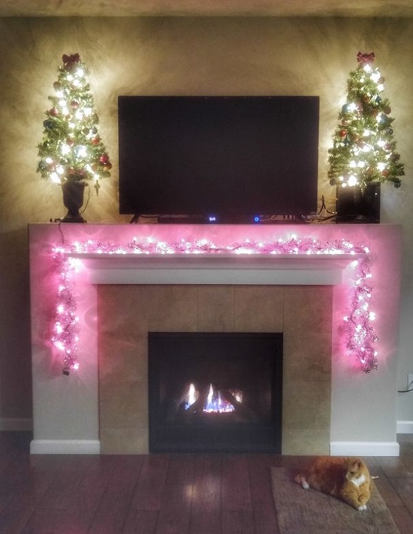 Забавни и креативни начини да ја заштитите новогодишната елка од вашите домашни миленици