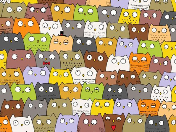 Тест за видот: Можете ли да го најдете предметот што не припаѓа на овие фотографии?