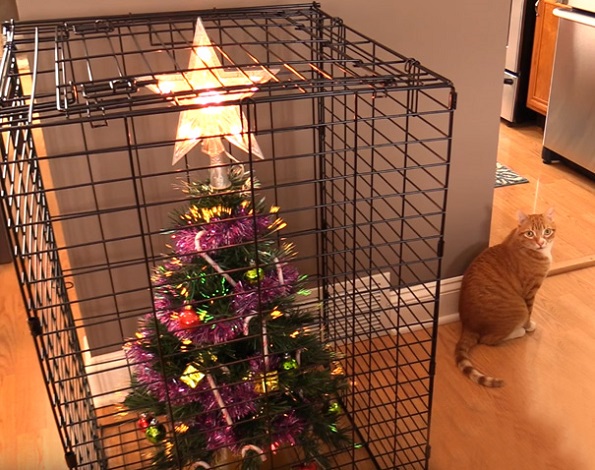 Забавни и креативни начини да ја заштитите новогодишната елка од вашите домашни миленици