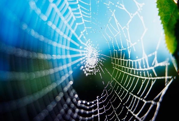 Обрнете внимание: Со овие знаци универзумот ви покажува дека наскоро ќе добиете пари