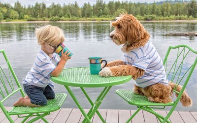 Вистинското пријателство помеѓу ова дете и куче ќе ви го стопи срцето!