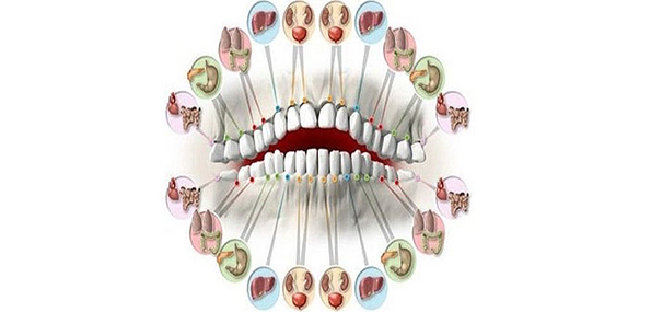 Како болката во забите го најавува проблемот со одреден внатрешен орган?