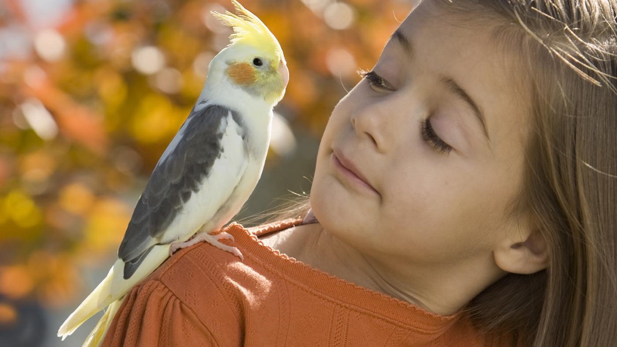 Неверојатни придобивки кои ќе ги имате доколку чувате птица како ваш домашен миленик