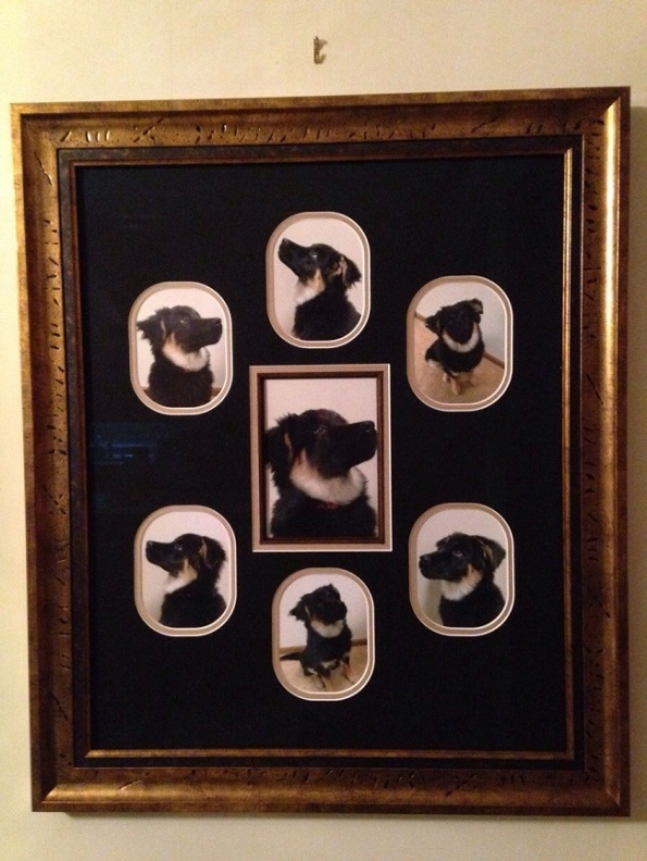 Овие родители имаат навистина одлична смисла за хумор