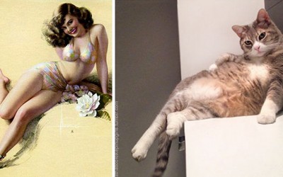 Неодоливи мачки во улога на пин-ап девојки!