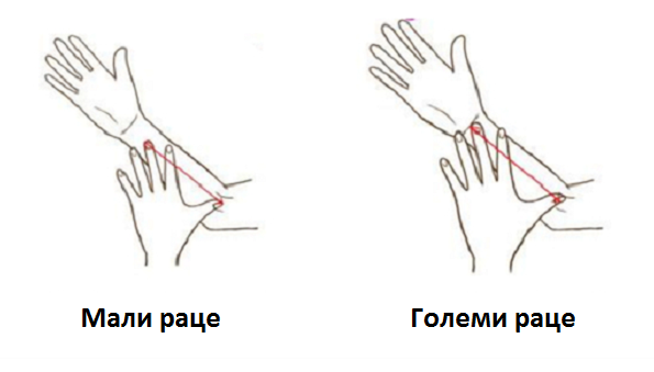 Измерете ги вашите раце и дознајте важни карактеристики за себе