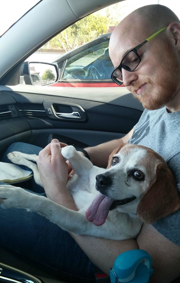 Слатки кучиња кои за прв пат го запознаваат своето идно семејство