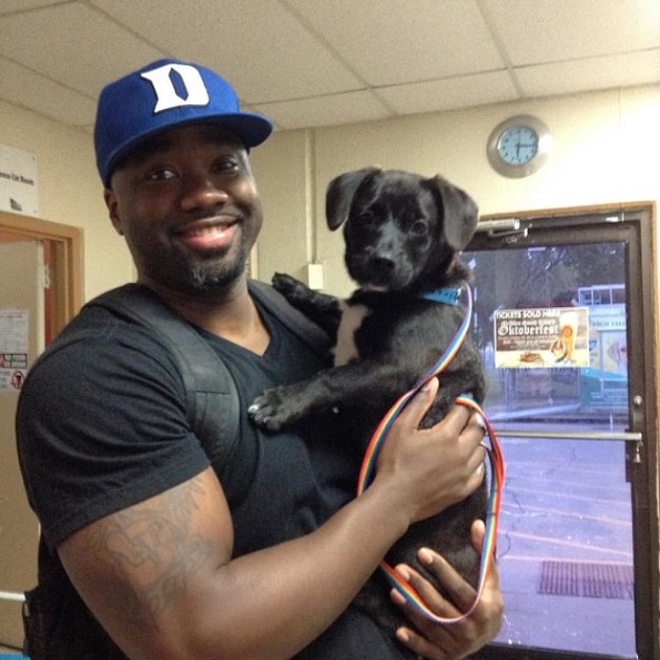 Слатки кучиња кои за прв пат го запознаваат своето идно семејство