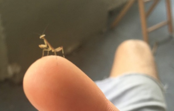 Фотографии од секојдневни работи кои ќе ве изненадат со нивната несекојдневна форма