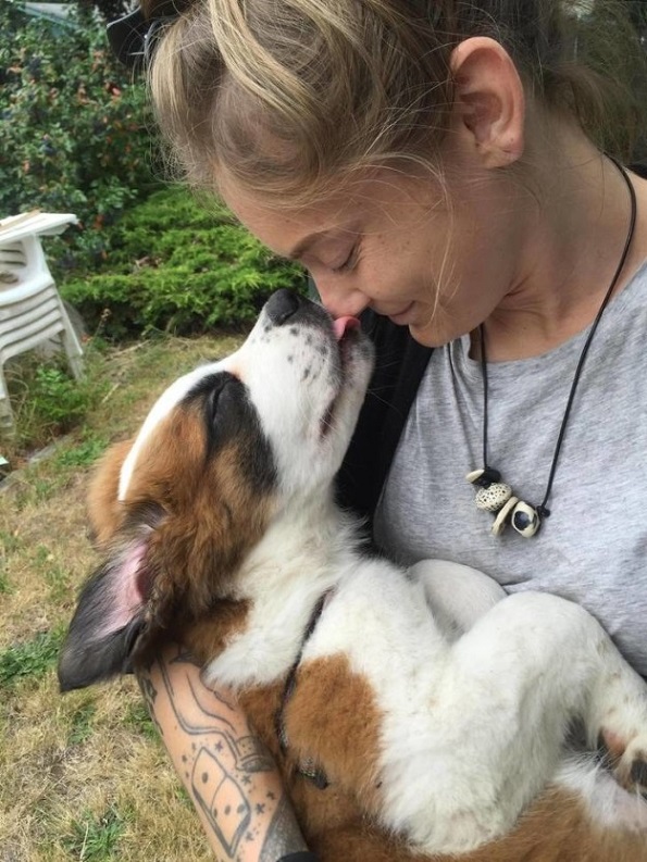 Слатки кучиња кои за прв пат го запознаваат своето идно семејство