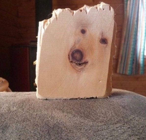 Фотографии од секојдневни работи кои ќе ве изненадат со нивната несекојдневна форма