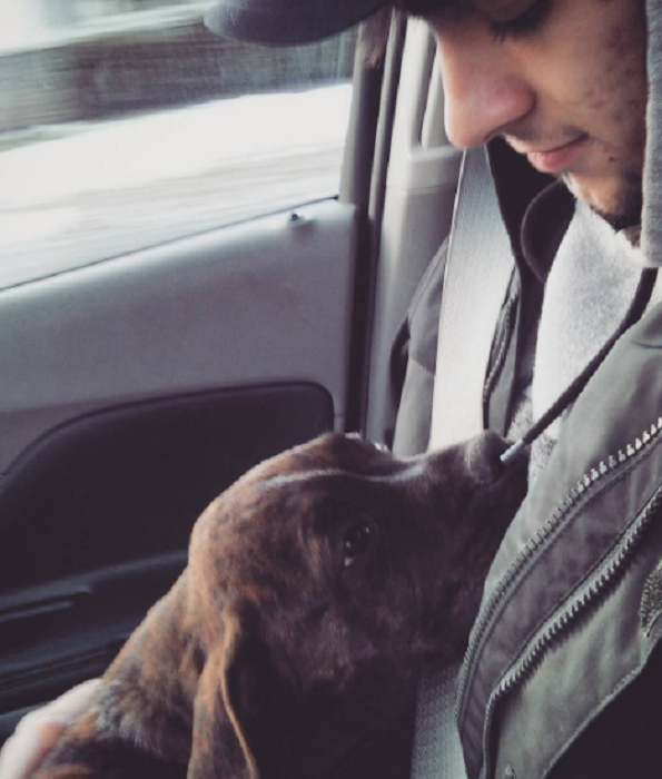 Слатки кучиња кои за прв пат го запознаваат своето идно семејство