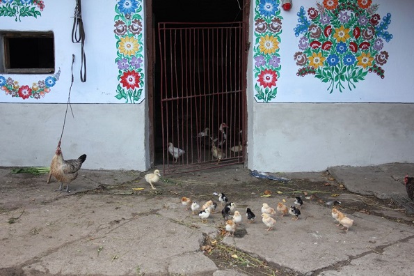 Вреди да се посети: Мало село во Полска каде што сѐ е покриено со цртежи од разнобојни цвеќиња