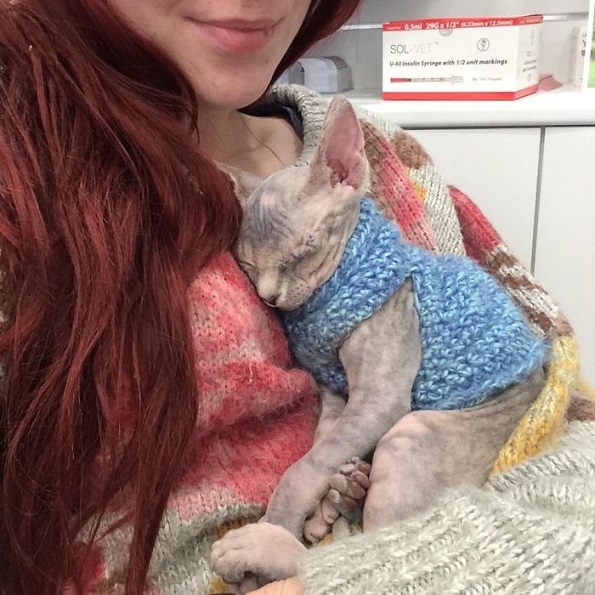 Мачка со едно око која ќе ве плени со нејзината убавина