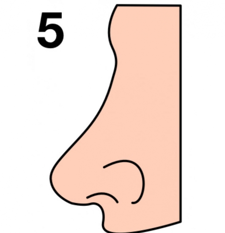 (5) Обликот на вашиот нос зборува многу нешта за вашиот карактер!
