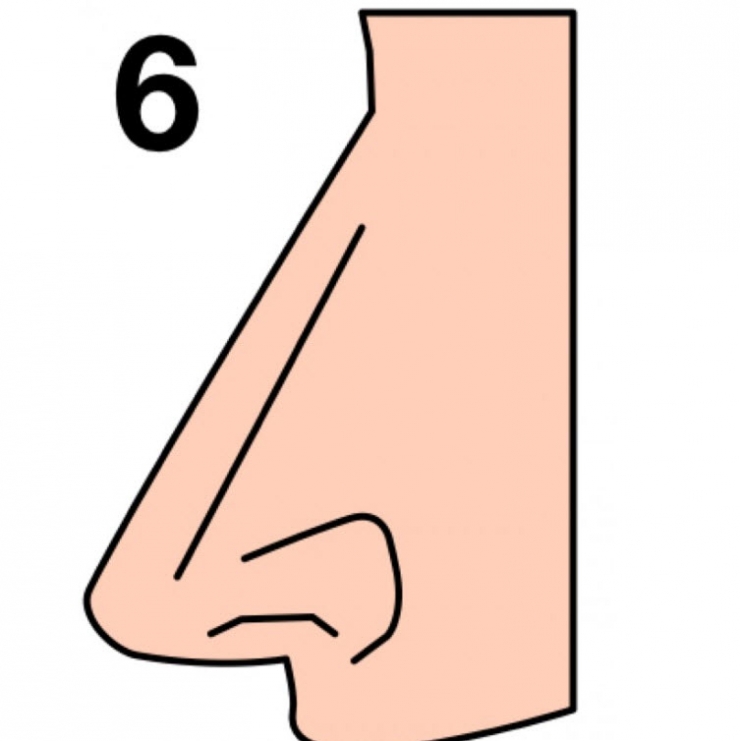 (6) Обликот на вашиот нос зборува многу нешта за вашиот карактер!