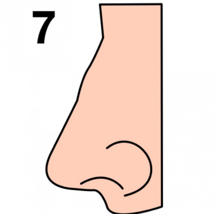 (7) Обликот на вашиот нос зборува многу нешта за вашиот карактер!