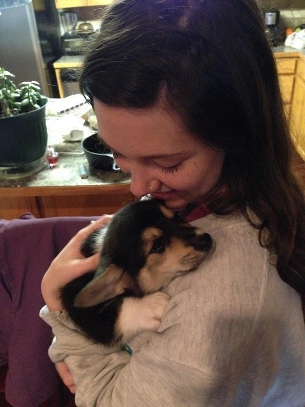 Слатки кучиња кои за прв пат го запознаваат своето идно семејство