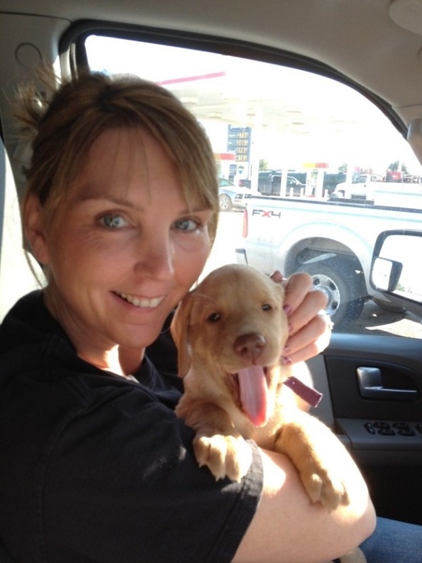 Слатки кучиња кои за прв пат го запознаваат своето идно семејство