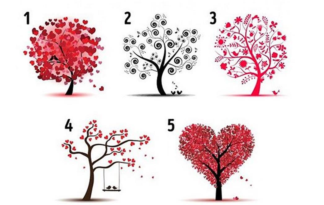 1-Izberete drvo i otkrijte na koj nachin umeete da sakate-www.kafepauza.mk_