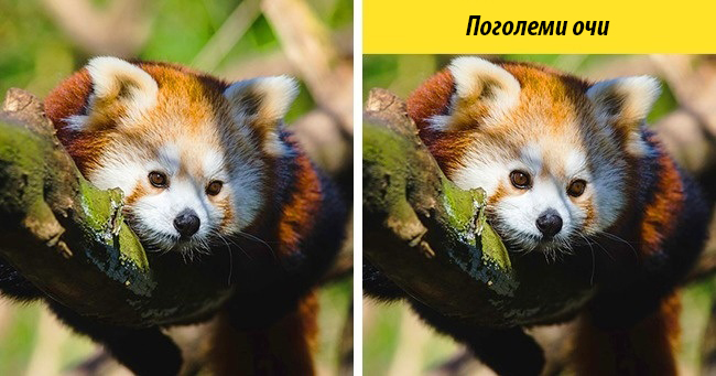 (12) kolku-ste-dobri-vo-zabelezhuvanje-detali-www.kafepauza.mk