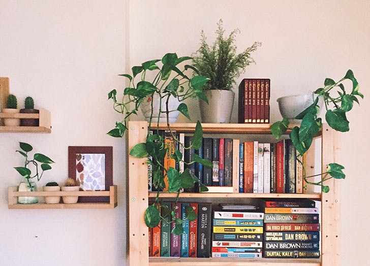 (3) Како да стекнете навика да читате по една книга месечно?