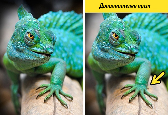 (4) kolku-ste-dobri-vo-zabelezhuvanje-detali-www.kafepauza.mk