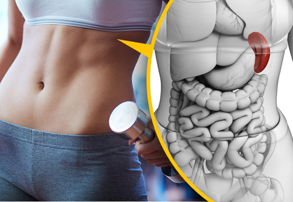 9 човечки органи кои никој не знае за што служат