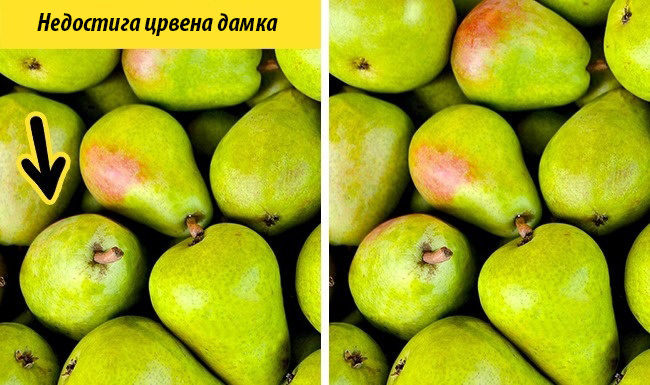 (6) kolku-ste-dobri-vo-zabelezhuvanje-detali-www.kafepauza.mk