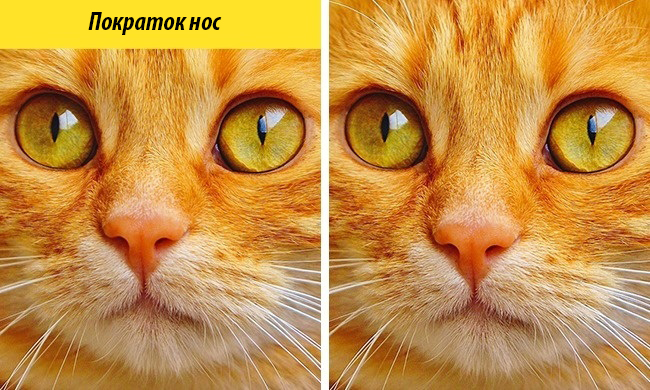 (8) kolku-ste-dobri-vo-zabelezhuvanje-detali-www.kafepauza.mk