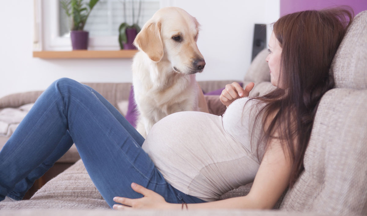 Науката открива: Бремените жени кои чуваат кучиња раѓаат посреќни бебиња