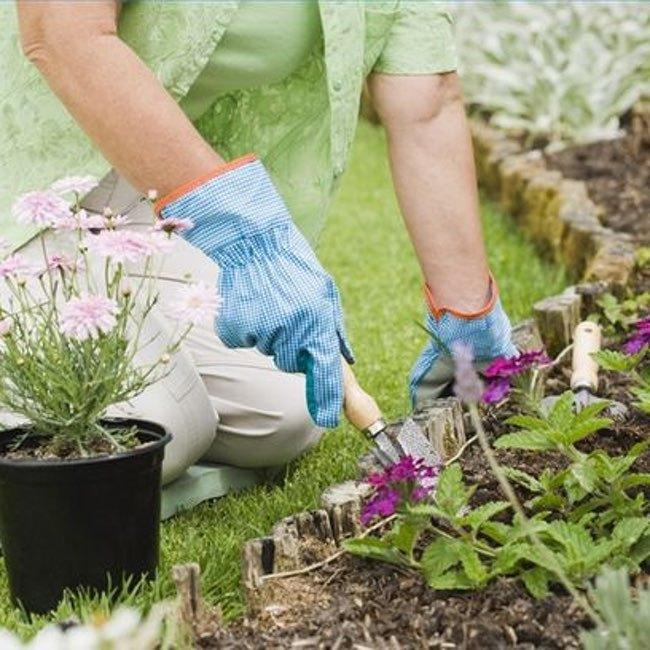 (10)11-idei-za-sovrshen-proleten-sostanok-kafepauza.mk