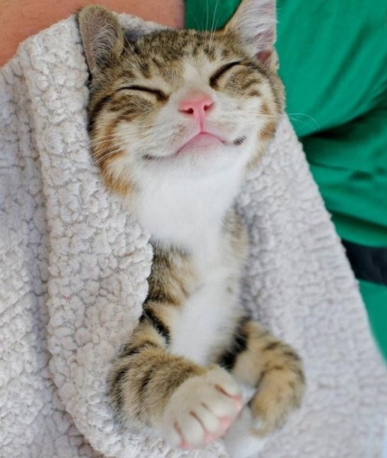 (11)najslatkite-nasmeani-machinja-kafepauza.mk