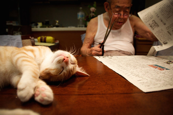 Пријателството меѓу овој дедо и неговата мачка ќе ви го стопи срцето