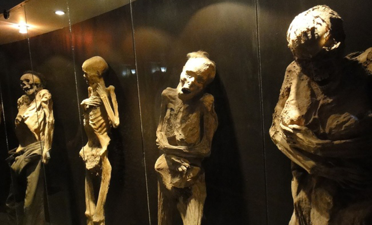 17 необични историски факти што сигурно не сте ги научиле на училиште