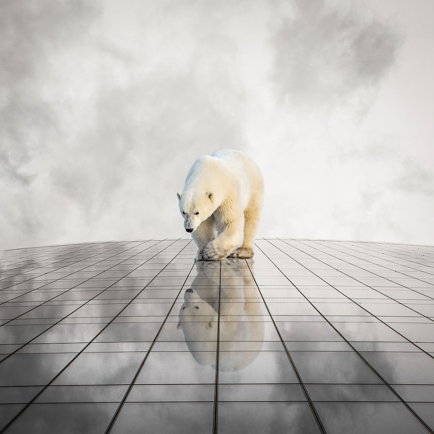 (15)dokolku-fotoshop-bi-imal-smisla-za-humor-eve-shto-bi-napravil-kafepauza.mk