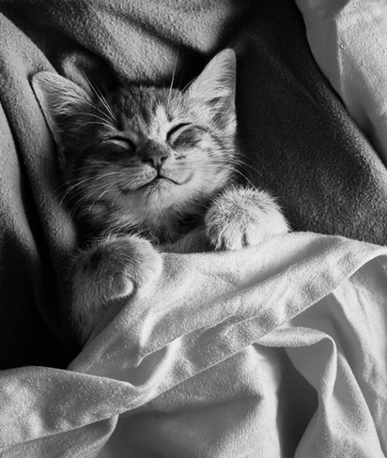 (16)najslatkite-nasmeani-machinja-kafepauza.mk