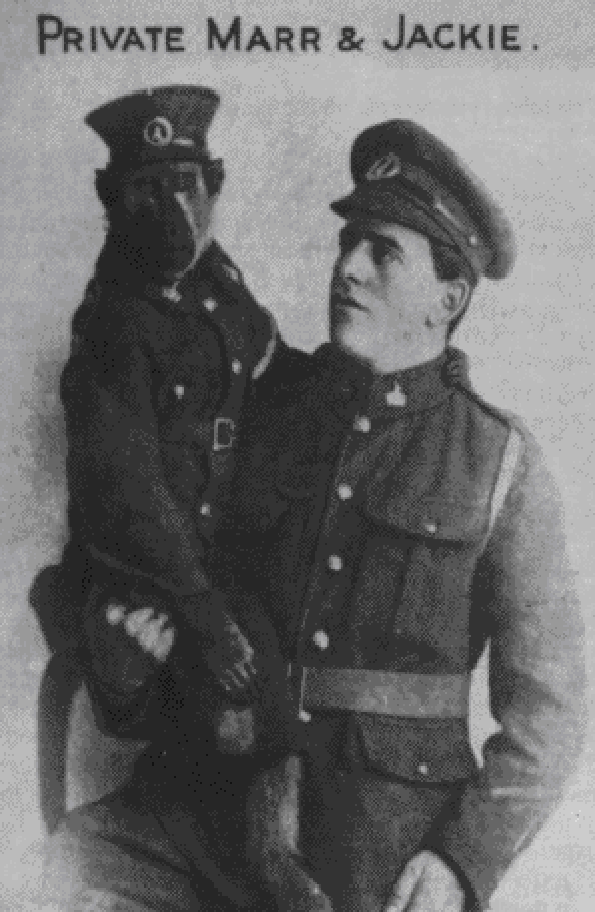 17 необични историски факти што сигурно не сте ги научиле на училиште