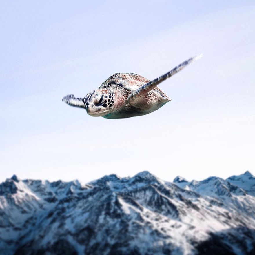 (18)dokolku-fotoshop-bi-imal-smisla-za-humor-eve-shto-bi-napravil-kafepauza.mk